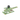 X54406020-LAT-IZQ-p